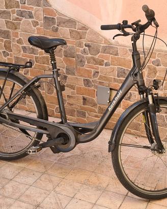 bicicletta elettrica 