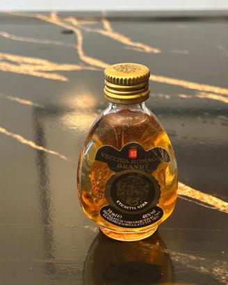 10 mignon di liquore 