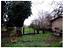 Immagine 7