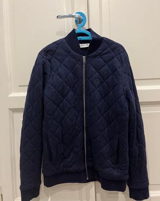 Lacoste bomber blu uomo