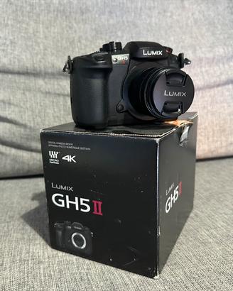 Panasonic Lumix GH5 Mark II garanzia