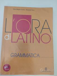 L'ora di latino 