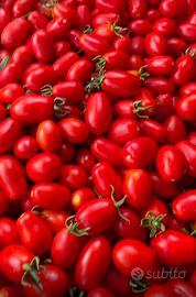 Pomodori