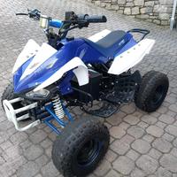 Mini Quad Eco Speedy 1000W S8