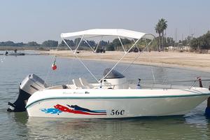 Renato Molinari Falcon 560