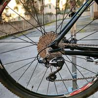 MTB Mountain Bike Carbonio