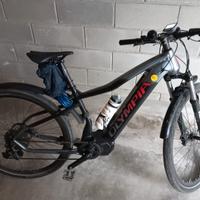 E-Bike Olympia Performer 900 | Batteria 900 Wh | M