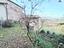 Immagine 30