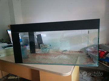 Acquario  200 litri perde
