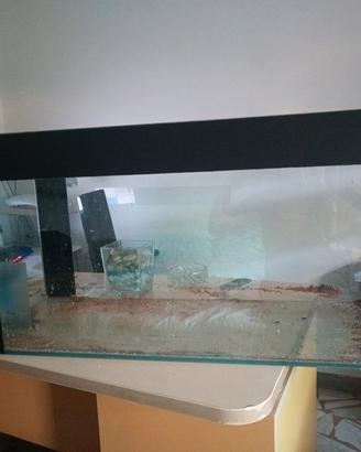 Acquario  200 litri perde