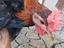 Immagine 2