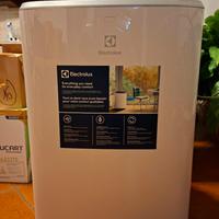 condizionatore mobile Electrolux 