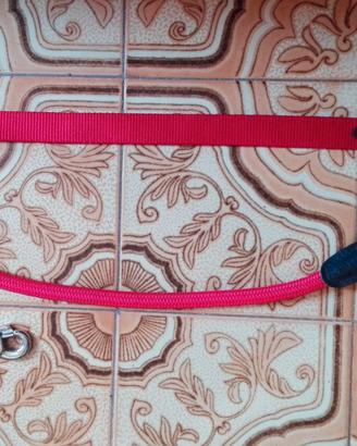 ATTREZZATURA VARIA PER CANI