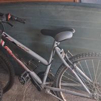 bicicletta da donna con marce 