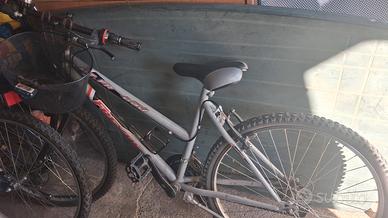 bicicletta da donna con marce 