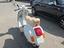 Immagine 5