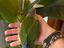 Immagine 4