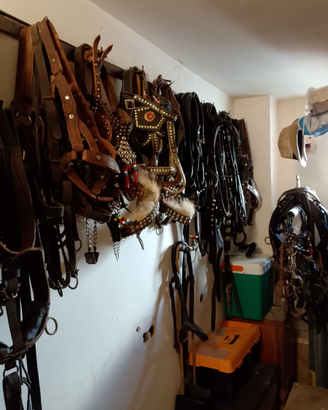 Equitazione