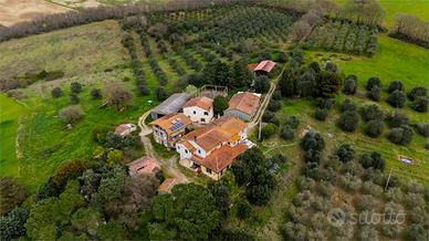 CINIGIANO: TENUTA AGRICOLA CON VISTA SUL MONTE AMI
