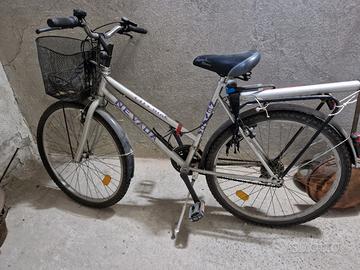 bicicletta