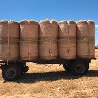 Carrello agricolo pianale carrellone
