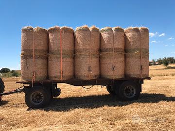 Carrello agricolo pianale carrellone