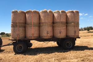 Carrello agricolo pianale carrellone