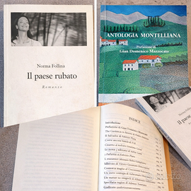 2 libri narrativa Montello: Follina + Antologia