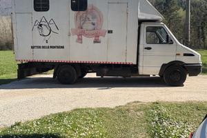 IVECO DAILY trasporto cavalli