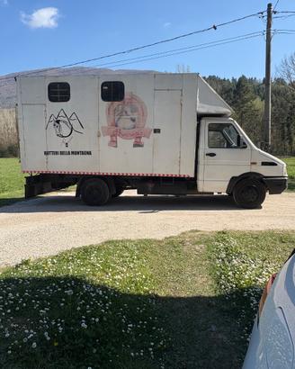 IVECO DAILY trasporto cavalli