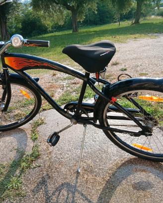 bicicletta da passeggio 