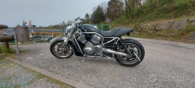  Harley Vrod Street
