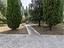 Immagine 12