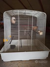Gabbia per volatili 