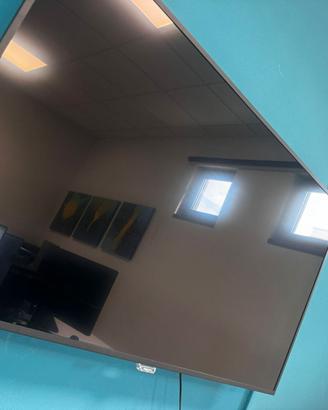 monitor philips 55""