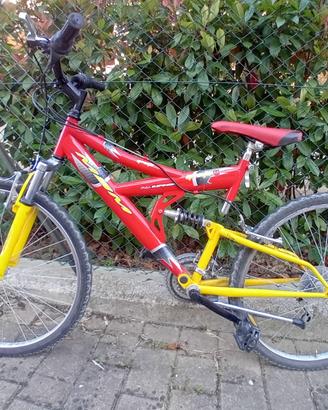 biciclette
