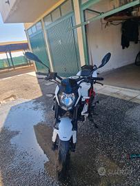 benelli bn 125