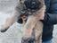 Immagine 5