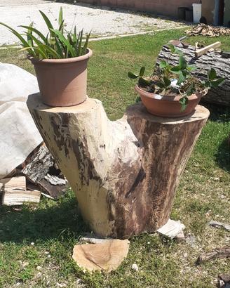 PIANTA SECCA NOCE MASSICCIO 