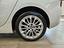 Immagine 21
