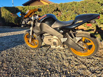 Buell xb12r firebolt