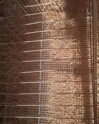 Gabbia in metallo per pollame più cesta da cova