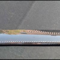 Griglia anteriore carbonio nissan gt r35