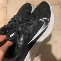 Nike Air Zoom Winflo 7