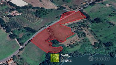 Terreno agricolo 2 ettari fronte strada