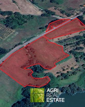 Terreno agricolo 2 ettari fronte strada
