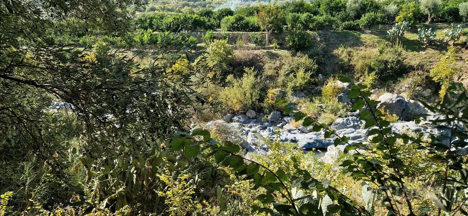GOLE ALCANTARA terreno agricolo 1 ettaro - Altro