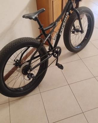 Fat bike Esperia