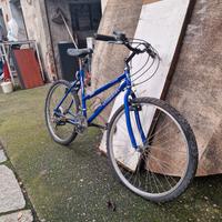 bicicletta