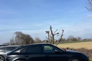 Porsche Cayenne Coupè Platinum Edition Full full